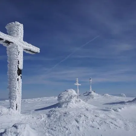 Pace - Luxury In Brezovina Apartmán Oravske Vesele