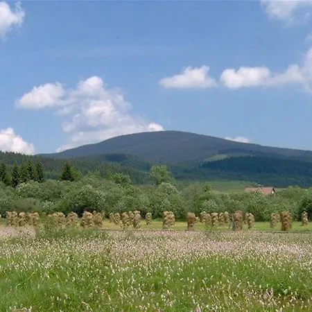 Apartament Pace - Luxury In Brezovina