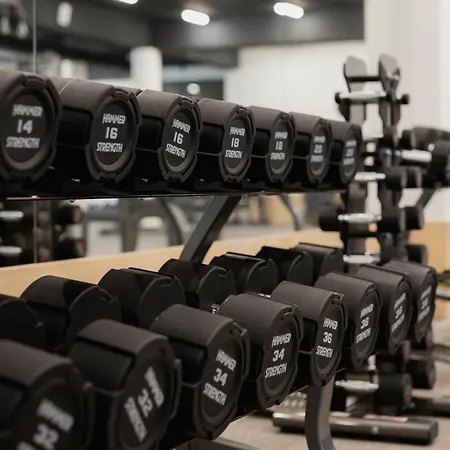 Pace - Luxury In Brezovina